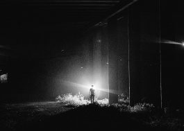 Twelve Dolls by carles rodrigo 