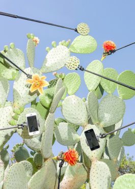 Geografies by Carles Rodrigo 