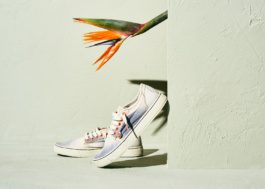 Satorisan by Carles Rodrigo 