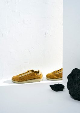 Satorisan by Carles Rodrigo 