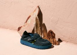 Satorisan by Carles Rodrigo 