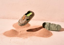 Satorisan by Carles Rodrigo 