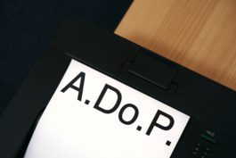 Architecture Doing Place by Carles Rodrigo