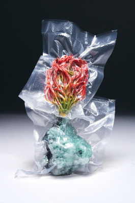 Carles Rodrigo photography 