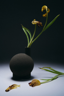 Lunar Object by Carles Rodrigo 