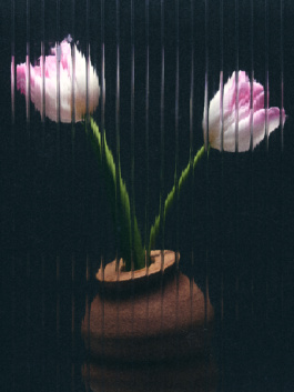 Los Objetos Decorativos by Carles Rodrigo 