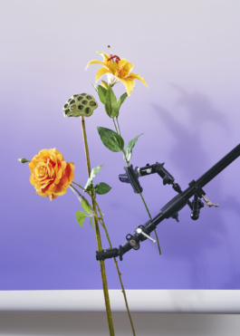 Plastic flowers Carles Rodrigo photography 